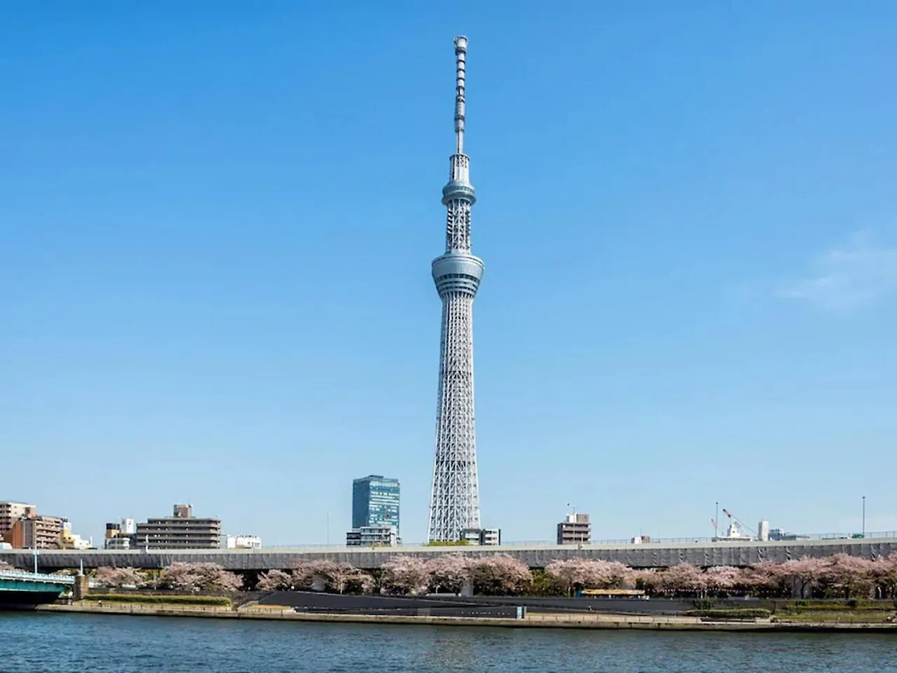 Anshin Oyado Ogikubo Hotel Tokyo 0*,